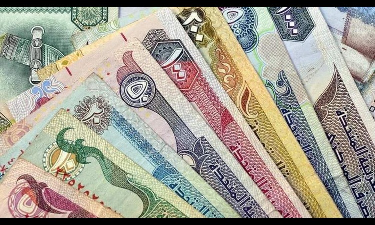 Can UAE Expats Still Send Money for Free? Pakistan Ends Some Remittance Perks:
